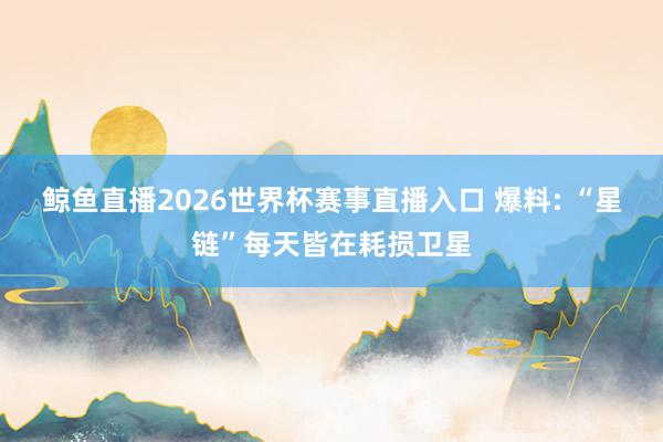 鲸鱼直播2026世界杯赛事直播入口 爆料: “星链”每天皆在耗损卫星