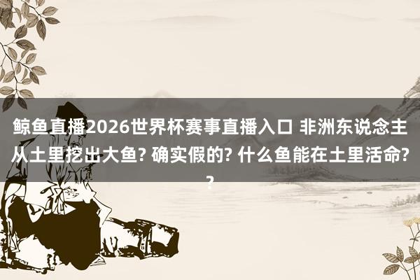 鲸鱼直播2026世界杯赛事直播入口 非洲东说念主从土里挖出大鱼? 确实假的? 什么鱼能在土里活命?