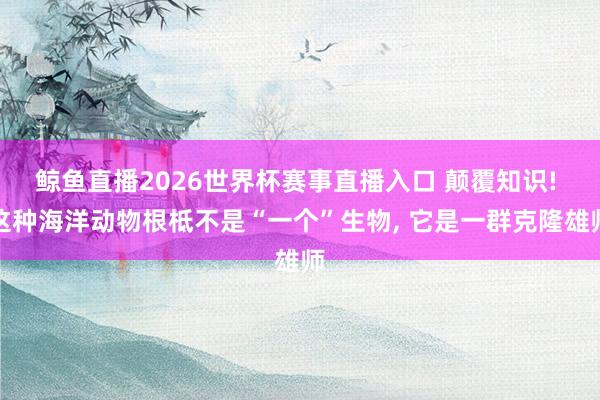 鲸鱼直播2026世界杯赛事直播入口 颠覆知识! 这种海洋动物根柢不是“一个”生物, 它是一群克隆雄师
