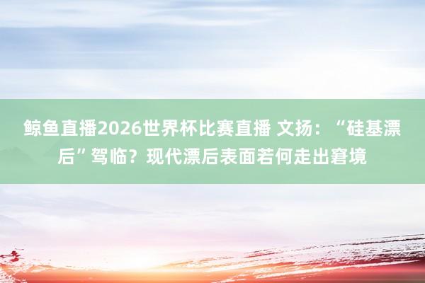 鲸鱼直播2026世界杯比赛直播 文扬：“硅基漂后”驾临？现代漂后表面若何走出窘境