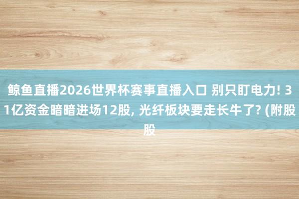 鲸鱼直播2026世界杯赛事直播入口 别只盯电力! 31亿资金暗暗进场12股, 光纤板块要走长牛了? (附股
