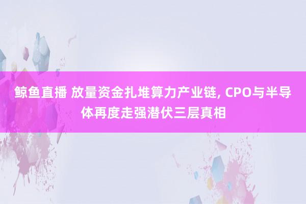 鲸鱼直播 放量资金扎堆算力产业链, CPO与半导体再度走强潜伏三层真相