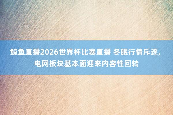 鲸鱼直播2026世界杯比赛直播 冬眠行情斥逐, 电网板块基本面迎来内容性回转