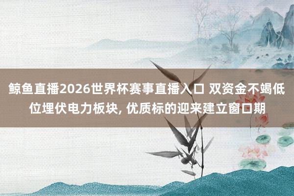 鲸鱼直播2026世界杯赛事直播入口 双资金不竭低位埋伏电力板块, 优质标的迎来建立窗口期