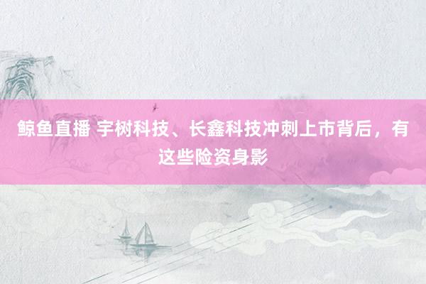 鲸鱼直播 宇树科技、长鑫科技冲刺上市背后，有这些险资身影