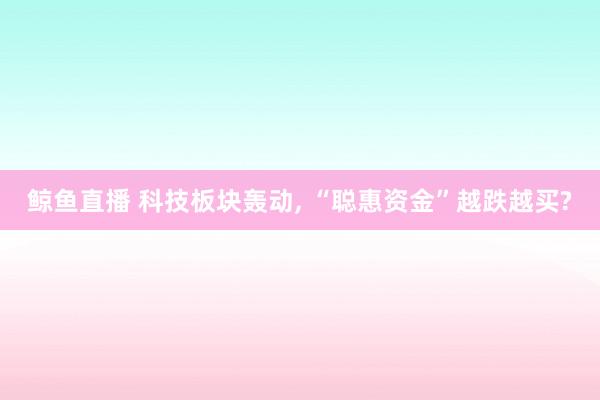 鲸鱼直播 科技板块轰动, “聪惠资金”越跌越买?