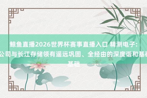 鲸鱼直播2026世界杯赛事直播入口 精测电子: 公司与长江存储领有遥远巩固、全经由的深度谐和基础