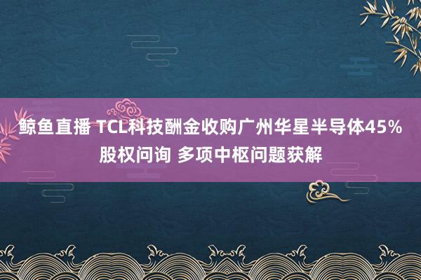 鲸鱼直播 TCL科技酬金收购广州华星半导体45%股权问询 多项中枢问题获解