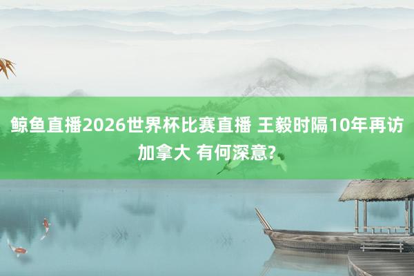 鲸鱼直播2026世界杯比赛直播 王毅时隔10年再访加拿大 有何深意?