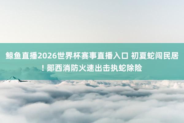 鲸鱼直播2026世界杯赛事直播入口 初夏蛇闯民居! 郧西消防火速出击执蛇除险