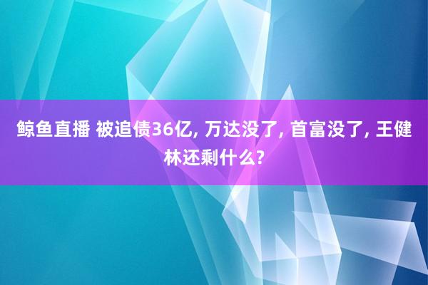 鲸鱼直播 被追债36亿, 万达没了, 首富没了, 王健林还剩什么?