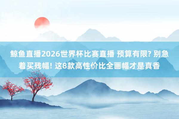 鲸鱼直播2026世界杯比赛直播 预算有限? 别急着买残幅! 这8款高性价比全画幅才是真香