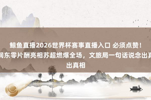 鲸鱼直播2026世界杯赛事直播入口 必须点赞！何润东零片酬亮相苏超燃爆全场，文旅局一句话说念出真相