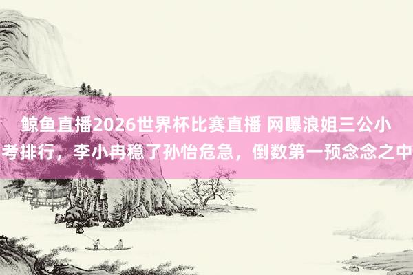 鲸鱼直播2026世界杯比赛直播 网曝浪姐三公小考排行，李小冉稳了孙怡危急，倒数第一预念念之中