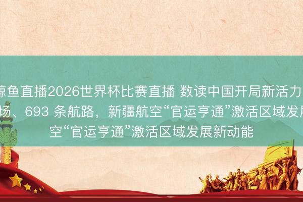 鲸鱼直播2026世界杯比赛直播 数读中国开局新活力丨28 个机场、693 条航路，新疆航空“官运亨通”激活区域发展新动能