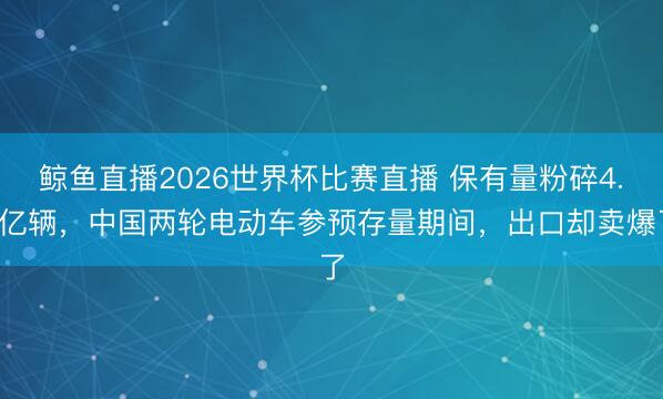 鲸鱼直播2026世界杯比赛直播 保有量粉碎4.5亿辆，中国两轮电动车参预存量期间，出口却卖爆了