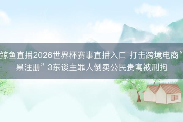 鲸鱼直播2026世界杯赛事直播入口 打击跨境电商“黑注册” 3东谈主罪人倒卖公民贵寓被刑拘