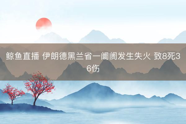 鲸鱼直播 伊朗德黑兰省一阛阓发生失火 致8死36伤