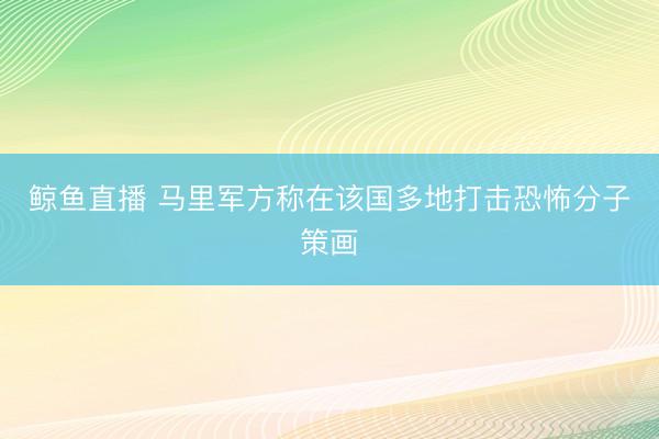 鲸鱼直播 马里军方称在该国多地打击恐怖分子策画