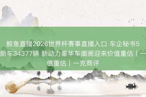 鲸鱼直播2026世界杯赛事直播入口 车企秘书5月委用新车34377辆 新动力豪华车阛阓迎来价值重估｜一克商评