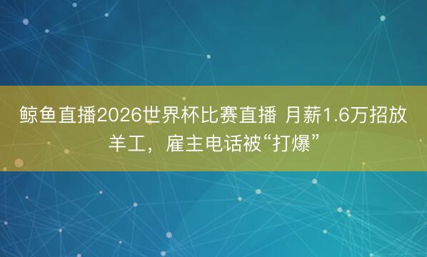 鲸鱼直播2026世界杯比赛直播 月薪1.6万招放羊工,雇主电话被“打爆”